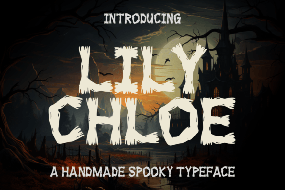 Lily Chloe: A Designer's Honest Review for Real Projects