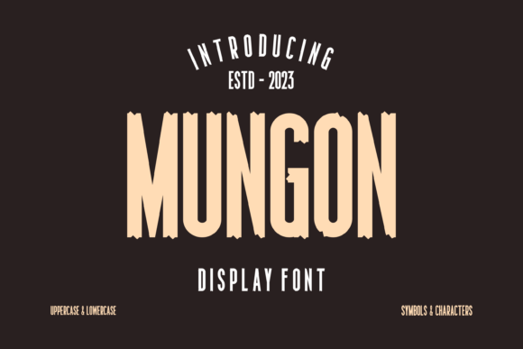 Mungon: The Quirky Display Typeface That Elevates Small Business Branding